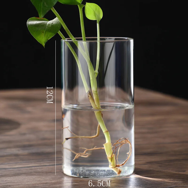 👉 Vase fleurs transparent