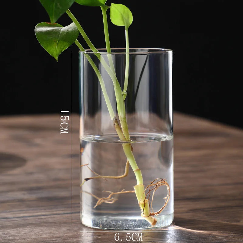 👉 Vase fleurs transparent
