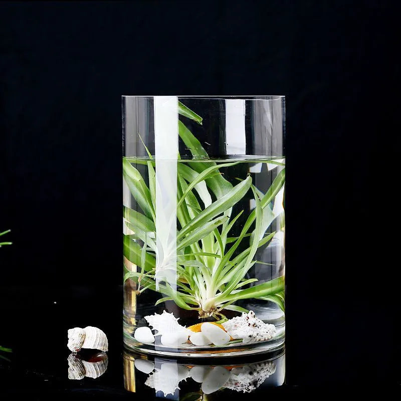 👉 Vase fleurs transparent